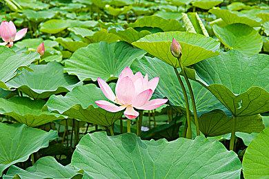 EA宣布旗下游戏今年总共被游玩超110亿小时 真自豪！